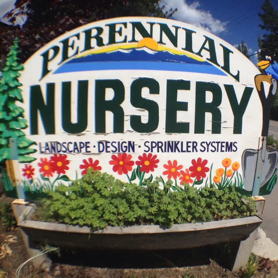 Company logo of Perennial Nursery & Landscape