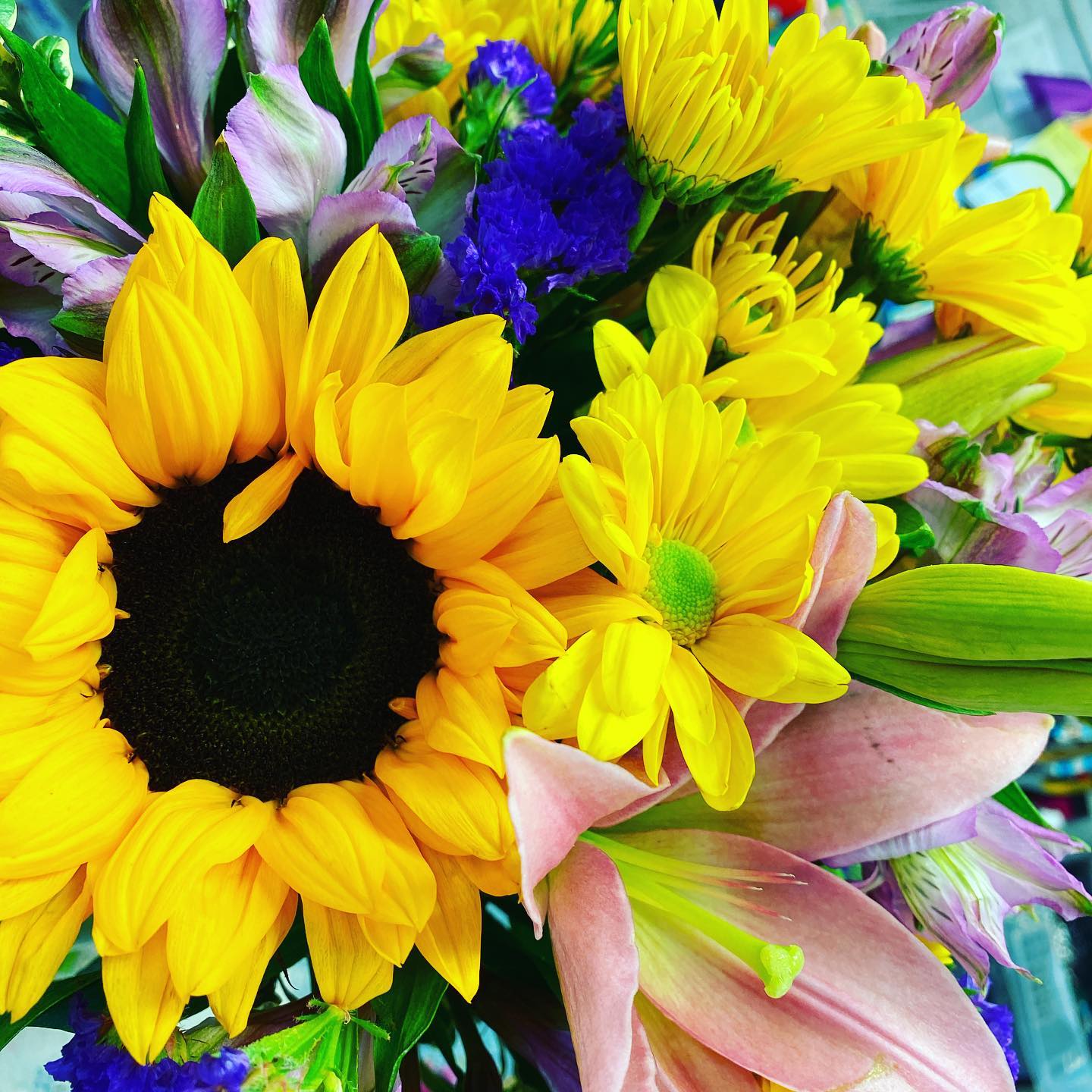 DiBella Flowers & Gifts