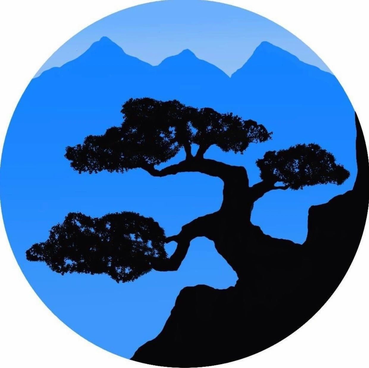 Company logo of Bonsai Creations Colorado