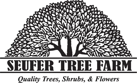 Company logo of Seufer Brothers Nursery