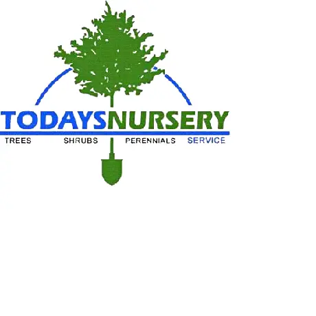 Company logo of Today's Nursery