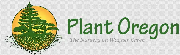 Company logo of Plant Oregon