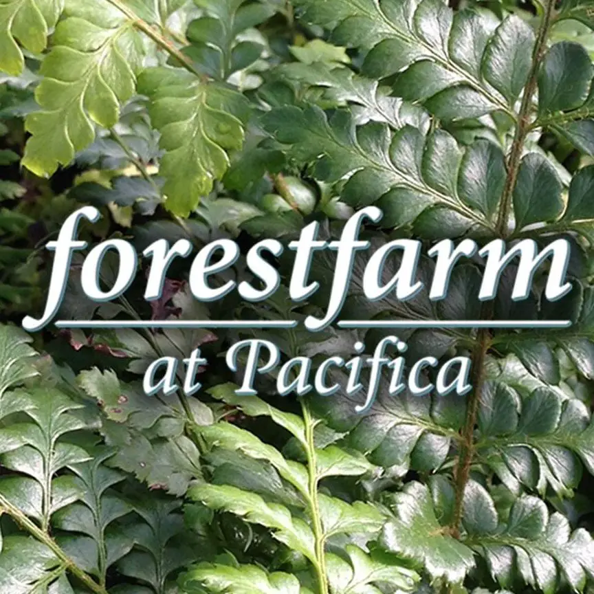 Company logo of Forestfarm Nursery