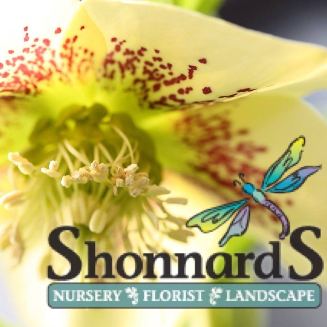 Company logo of Shonnard's Nursery, Florist, and Landscape