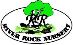 Company logo of River Rock Nursery