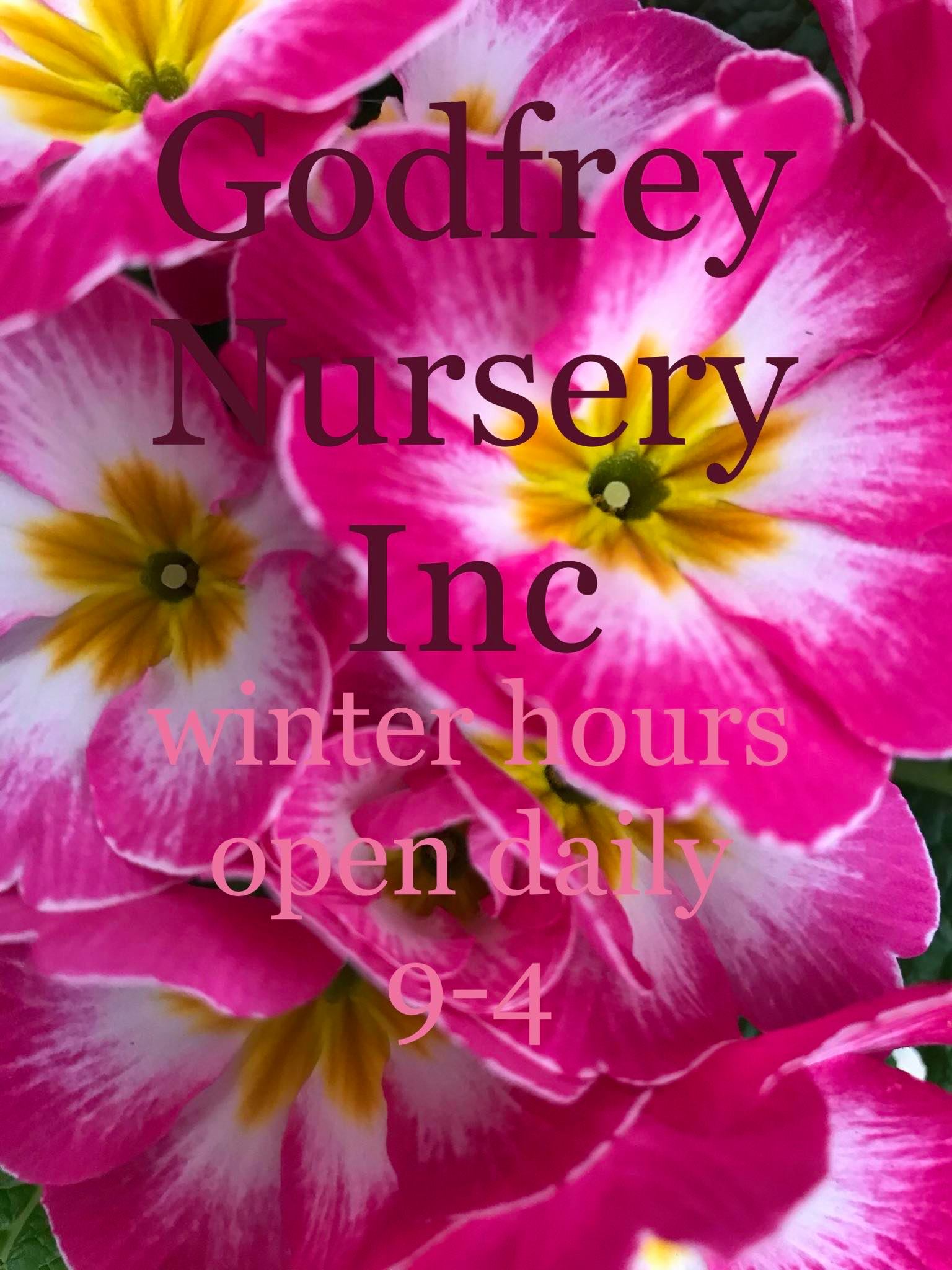 Godfrey Nursery