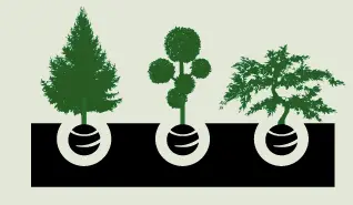 Company logo of Plants West