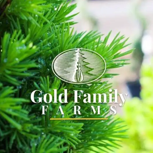 Business logo of Gold Hill Nursery