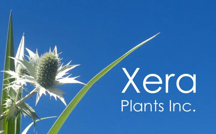 Company logo of Xera Plants, Inc.