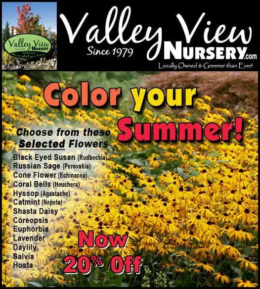 Valley View Nursery