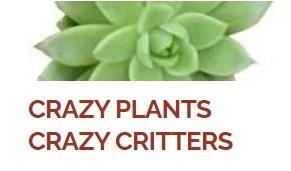 Company logo of Crazy Plants Nursery