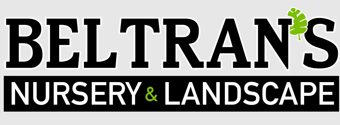 Company logo of Beltran's Nursery & Landscape