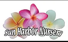 Business logo of Sun Harbor Nursery