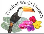 Business logo of Tropical World Nursery