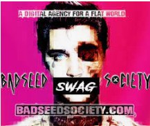 Bad Seed Society | Lehigh Valley Website Design & Graphic Design