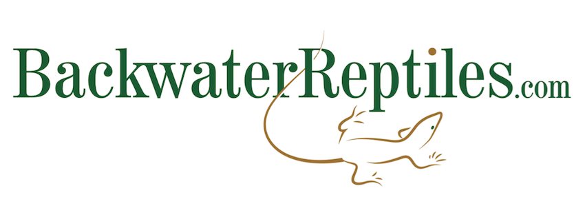Company logo of Backwater Reptiles