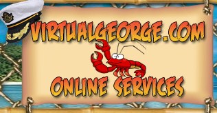 Company logo of Virtual George Website Design & Ecommerce