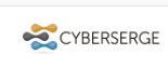 Business logo of CyberSerge