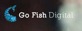 Company logo of Go Fish Digital