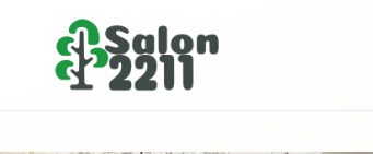 Business logo of Salon 2211