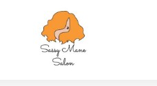 Business logo of Sassy Mane Salon