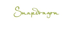 Company logo of Snapdragon Salon
