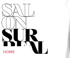 Business logo of Salon Surreal