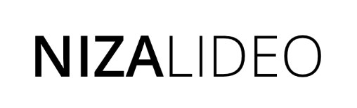 Business logo of NIZALIDEO.COM