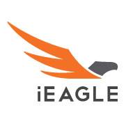 Business logo of iEAGLE