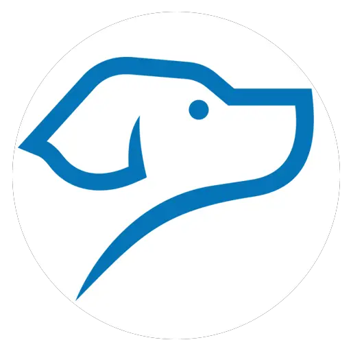 Company logo of BLUEDOG