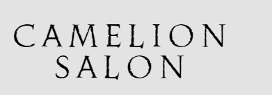 Company logo of Camelion Hair Salon