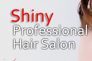Company logo of Shiny Salon