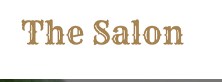 Company logo of The Salon by Nicholas Castaldi