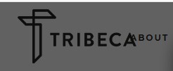 Company logo of Tribeca Salon