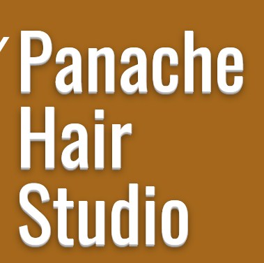 Company logo of Panache Hair Studio