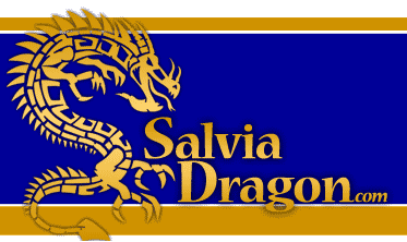 Company logo of Salviadragon.com