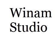 Company logo of Winam Studio
