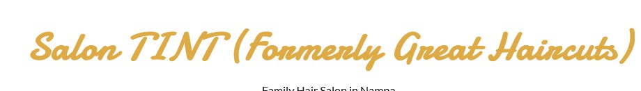 Company logo of Salon TINT (Formerly Great Haircuts)