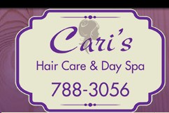 Company logo of Cari's Hair Care & Day Spa