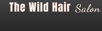 Company logo of The Wild Hair Salon