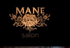 Company logo of MANE salon