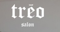 Company logo of Treo Salon