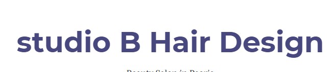 Company logo of studio B Hair Design