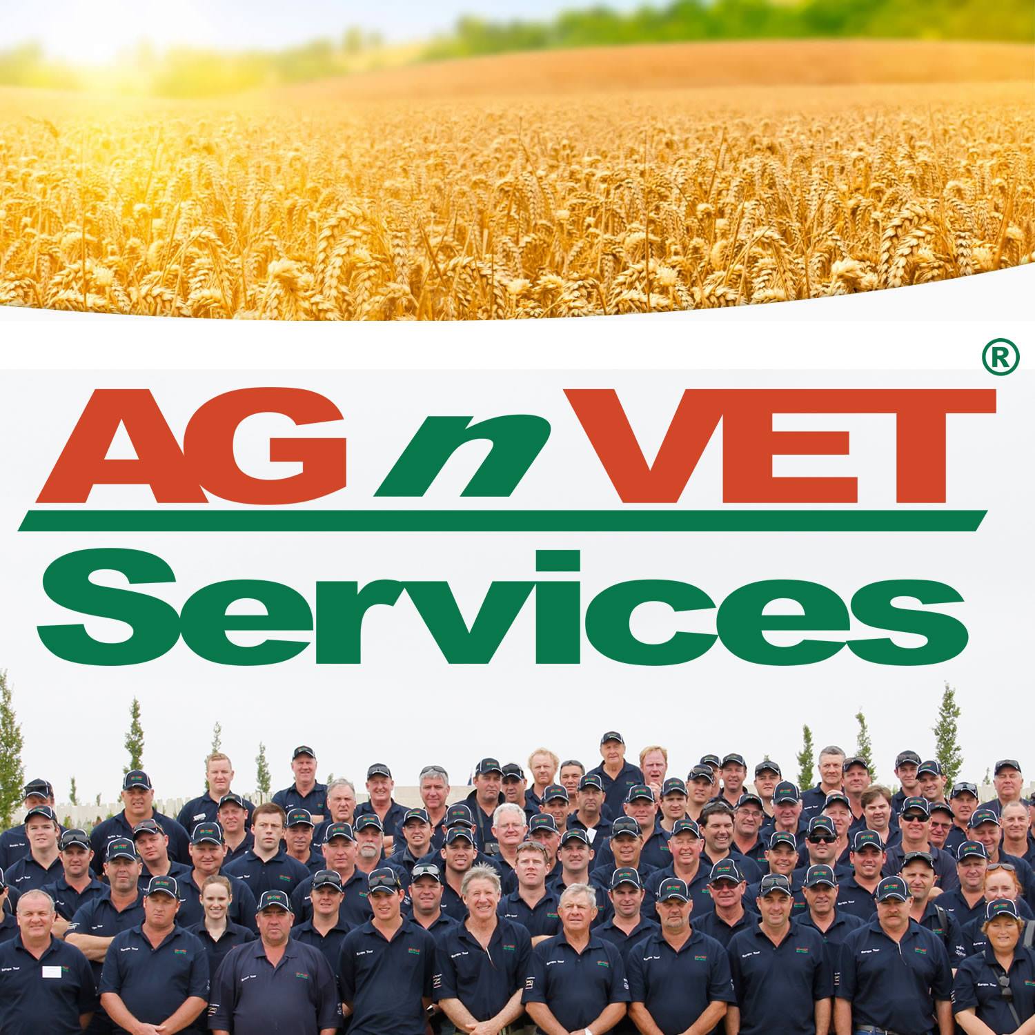 Company logo of AGnVET Services