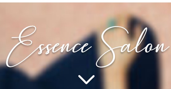 Company logo of Essence Salon
