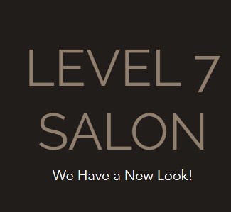 Company logo of Level Seven Salon