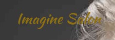 Company logo of Imagine Salon