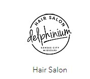 Company logo of Delphinium Salon