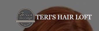 Company logo of Teri's Hair Loft Salon
