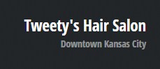 Company logo of Tweety's Hair Salon